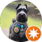 RobertsMom NC Avatar