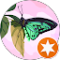 Witchyv Avatar
