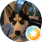 Brandon Holle Avatar